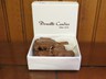 Donells Candies Sampler Box